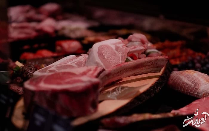 انتخاب گوشت کباب کوبیده گوشت کباب